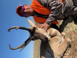 Antelope 2020