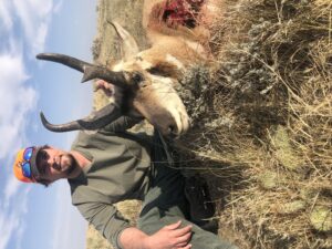 Antelope 2020
