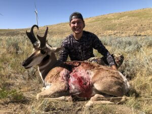 Antelope 2020