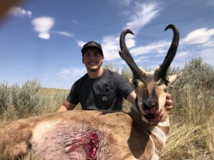 Antelope 2020