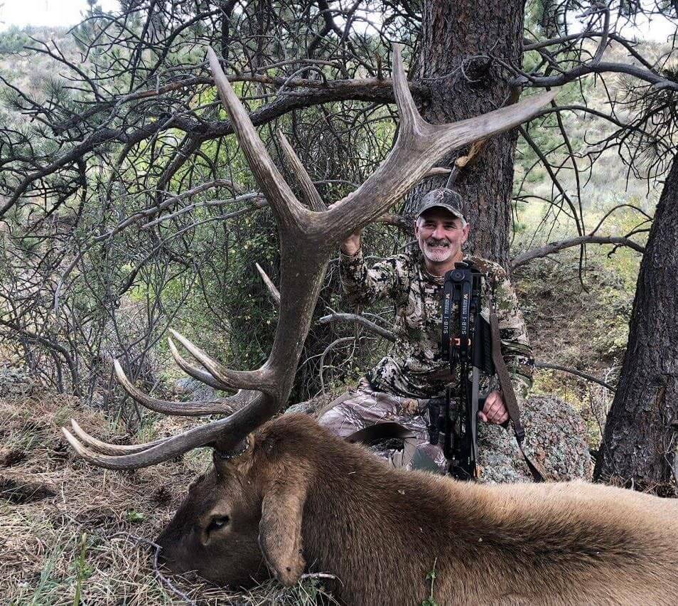 2022 Wyoming Elk Applications Are Approaching