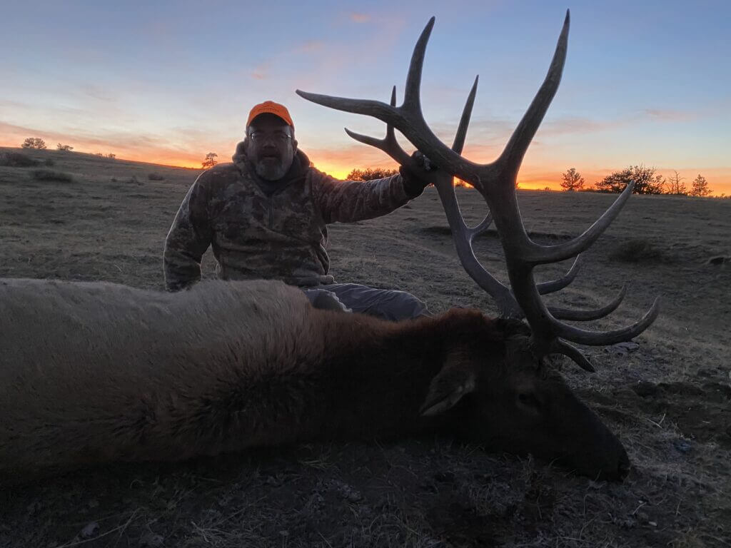 2020 Elk