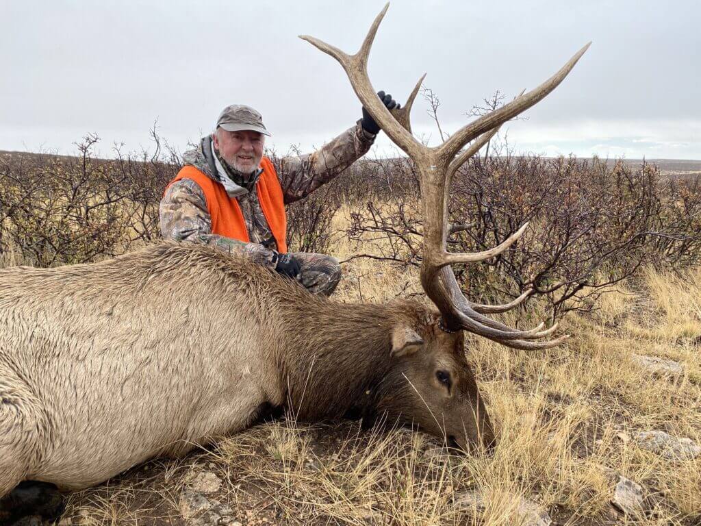 2020 Elk