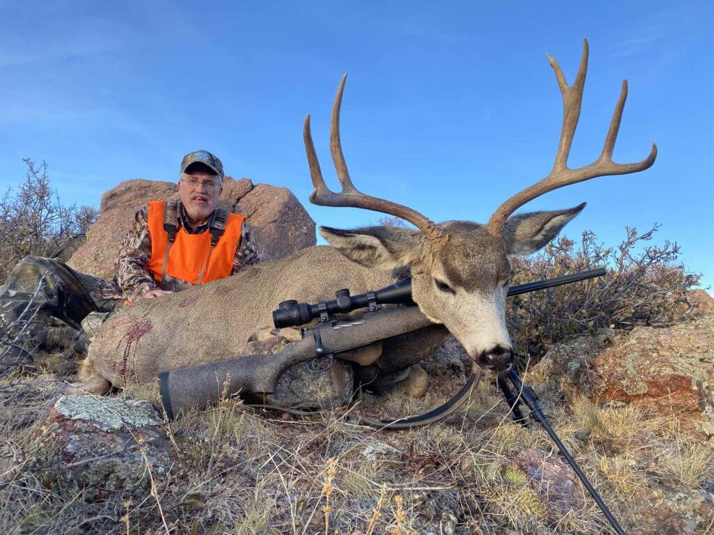 2021 Deer
