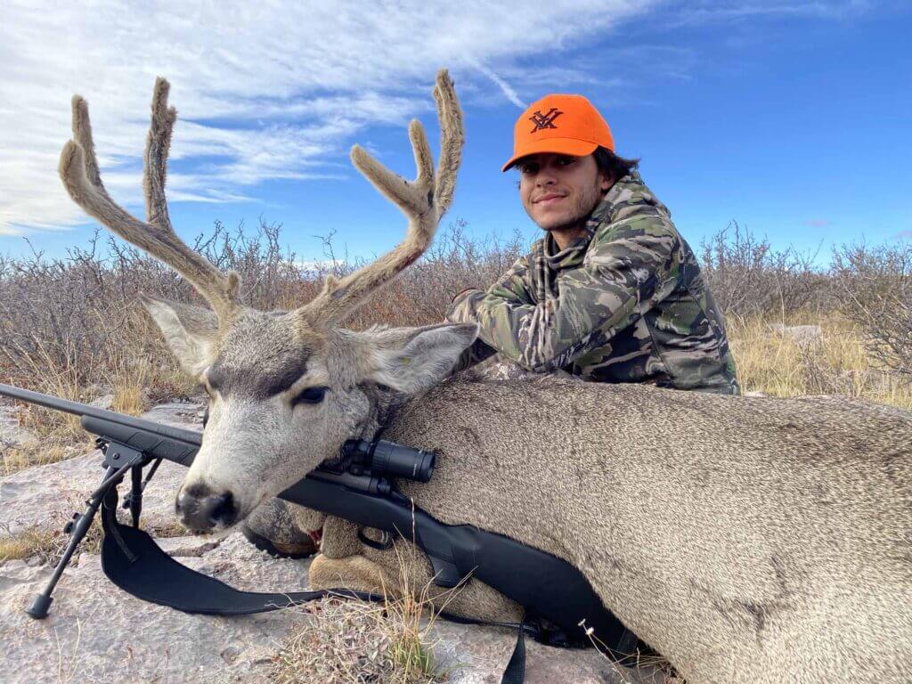 2021 Deer