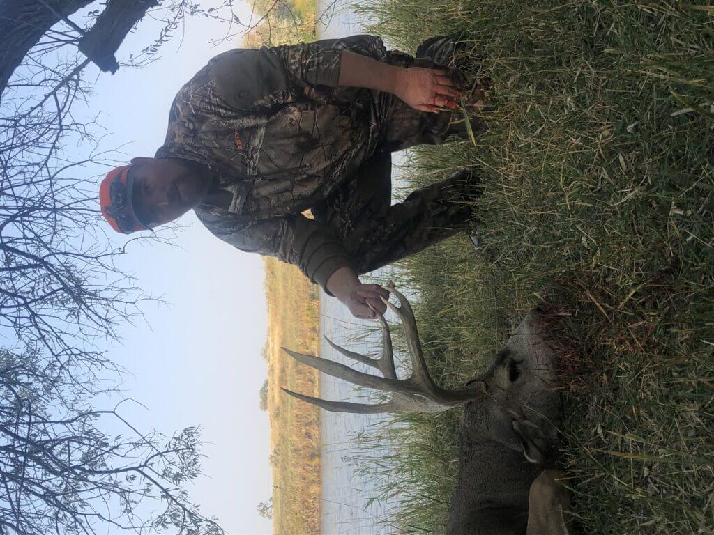 2020 Deer