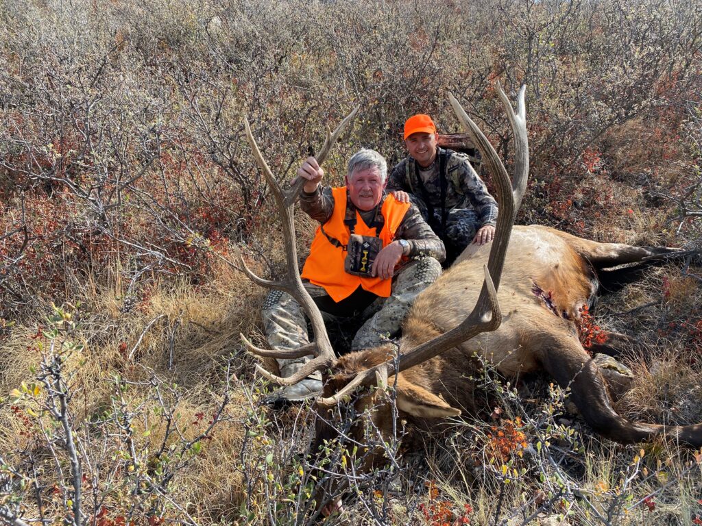 Elk 2021