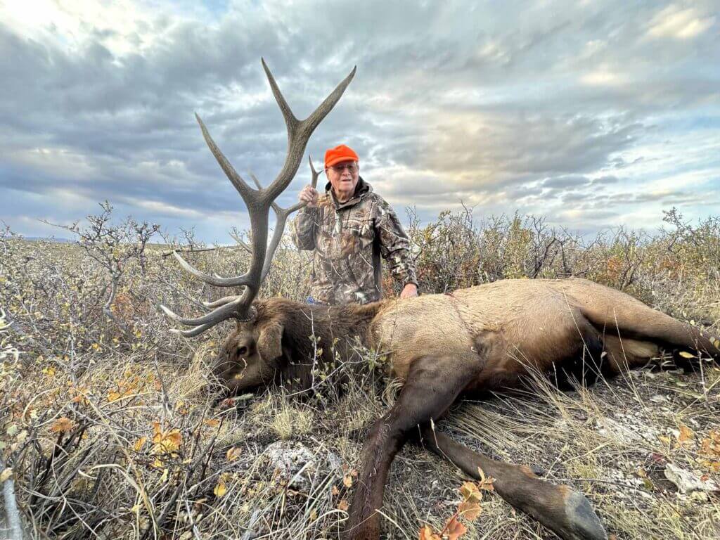 2023 Elk