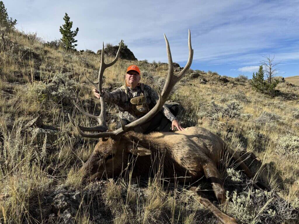 2023 Elk