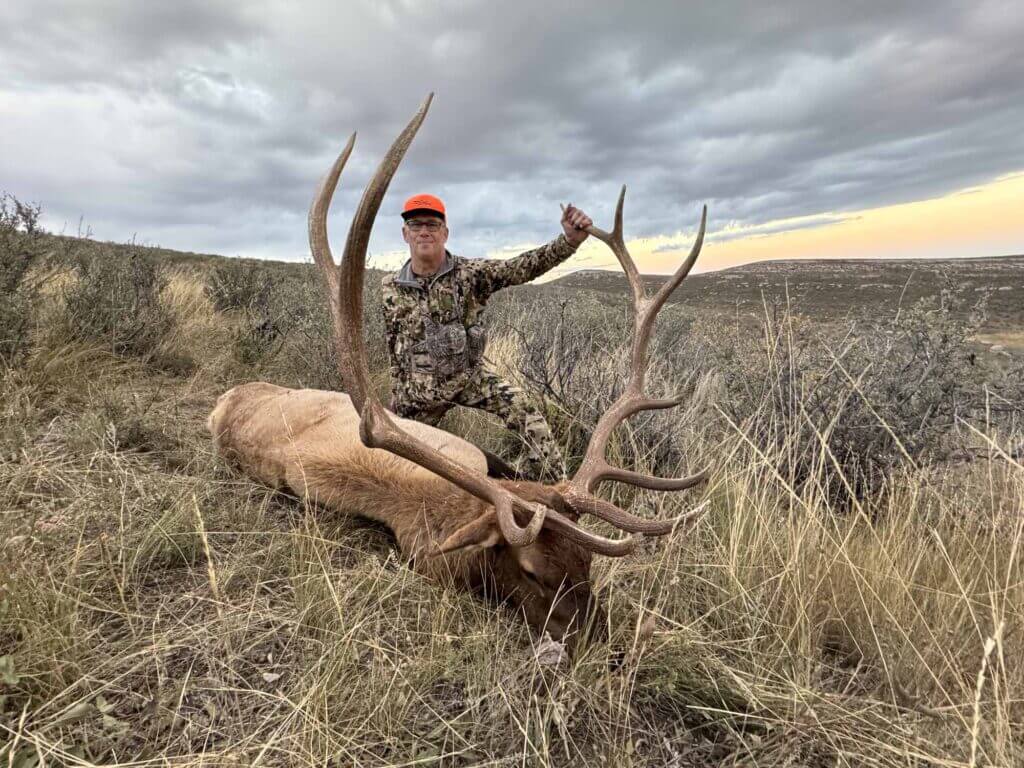 2023 Elk