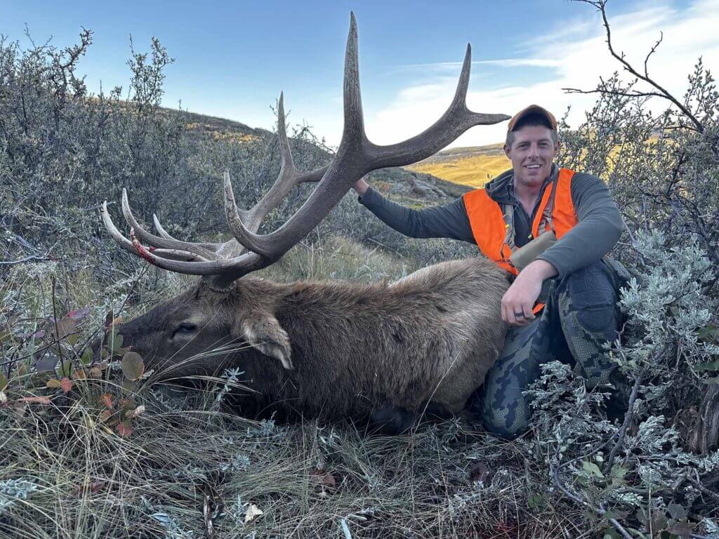 2023 Elk