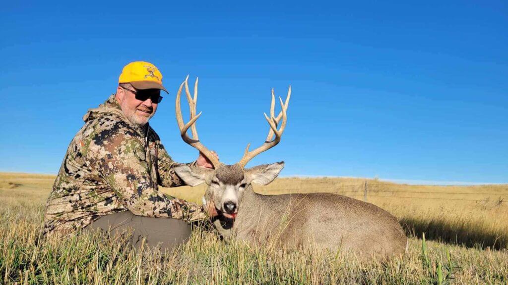 2023 Deer