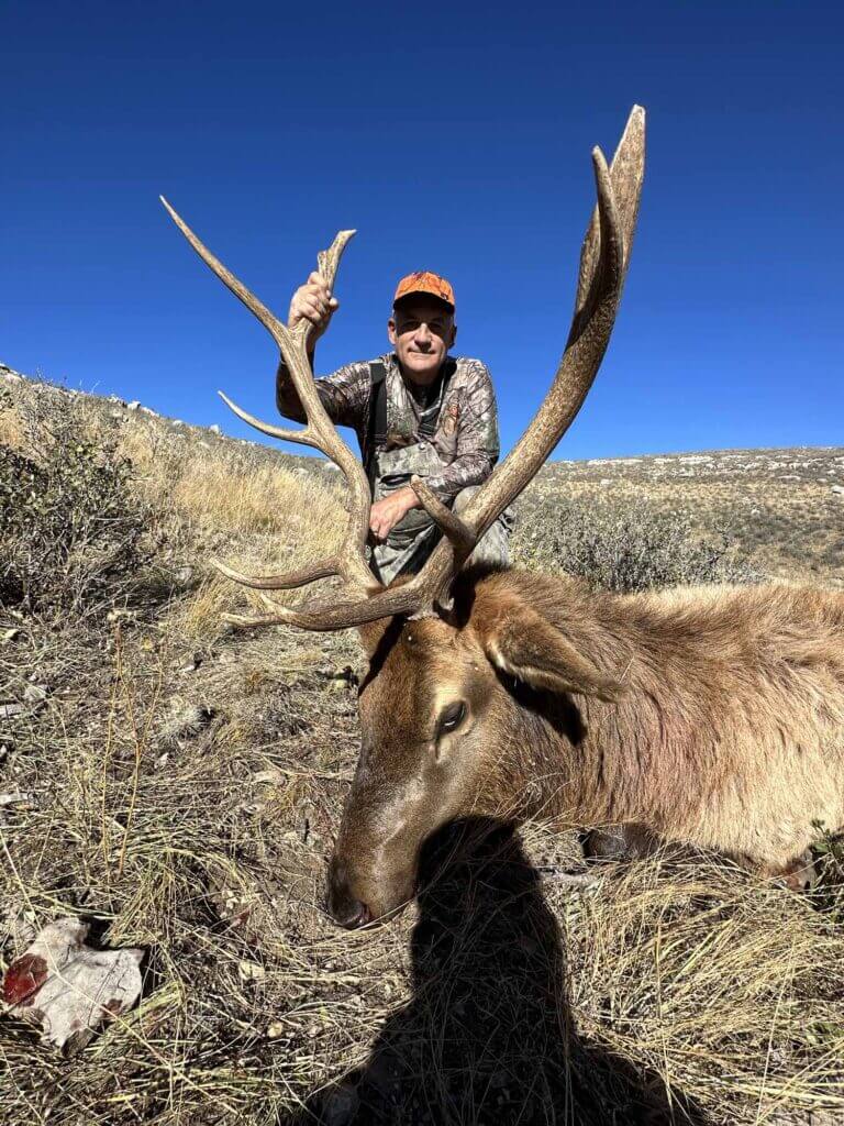 2023 Elk