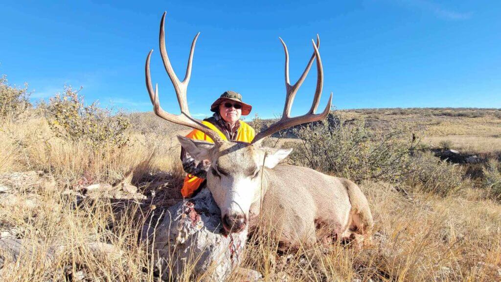 2023 Deer