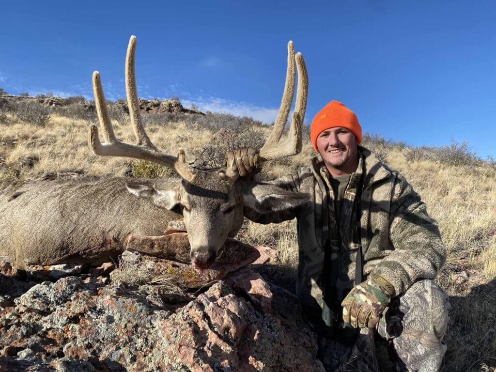 2022 Deer