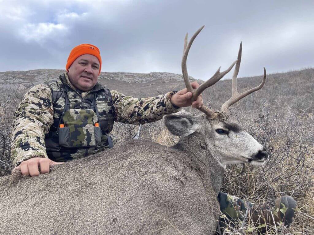2023 Deer