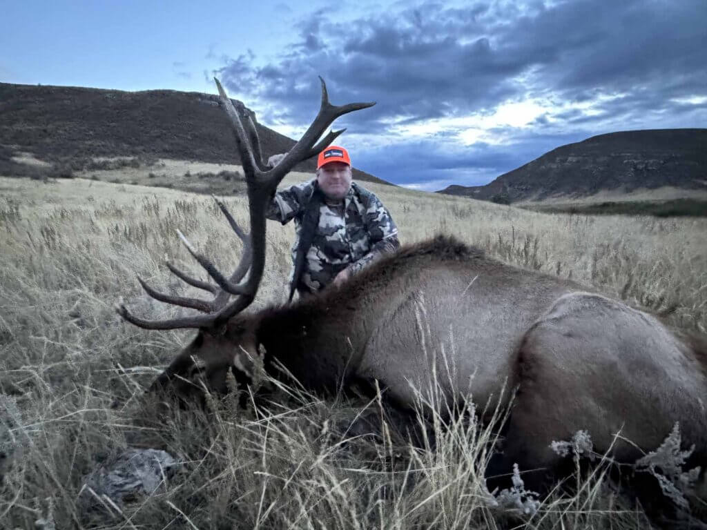 2023 Elk