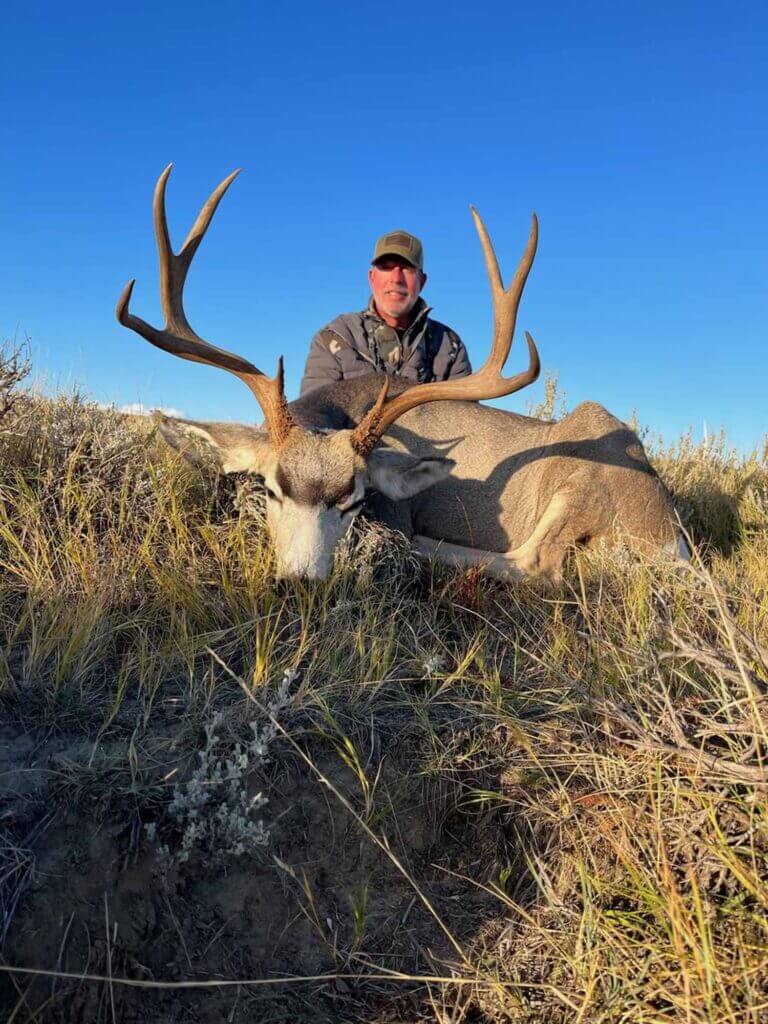 2023 Deer