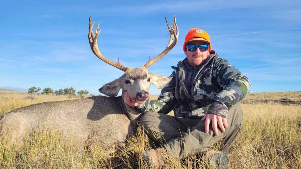2023 Deer
