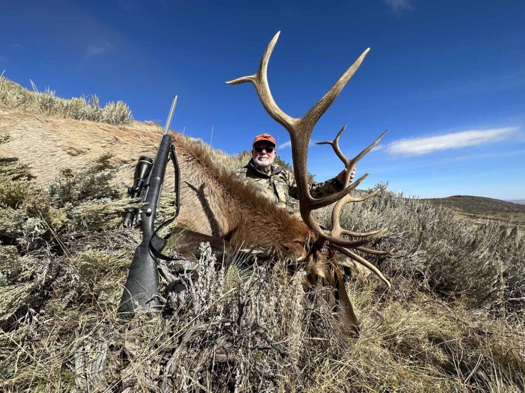 2023 Elk