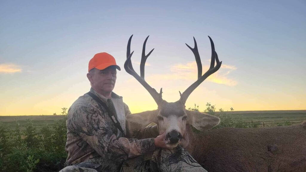 2023 Deer