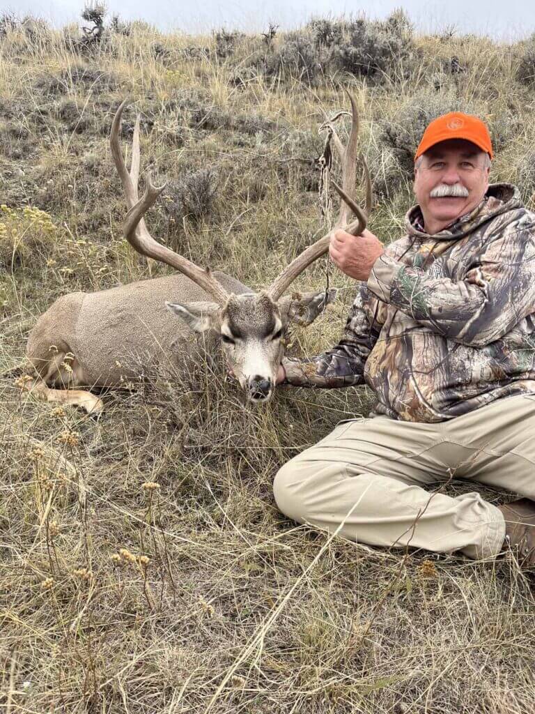 2022 Deer