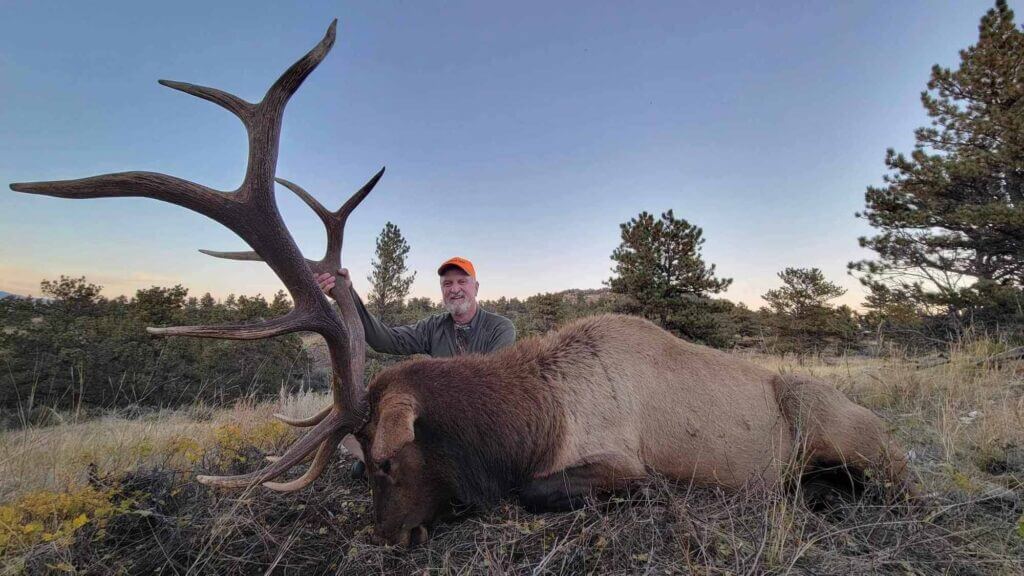 2023 Elk