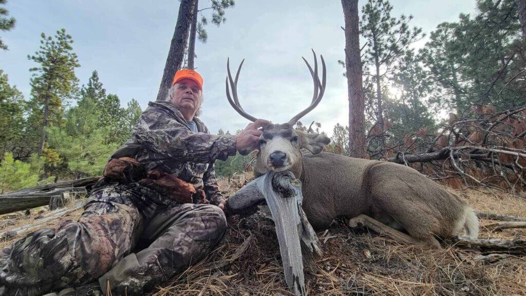 2023 Deer