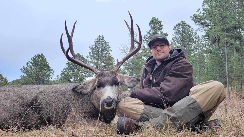 2023 Deer