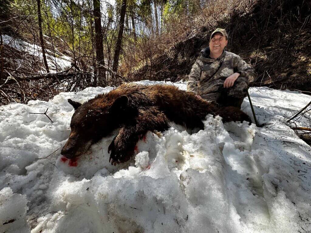2023 Bear