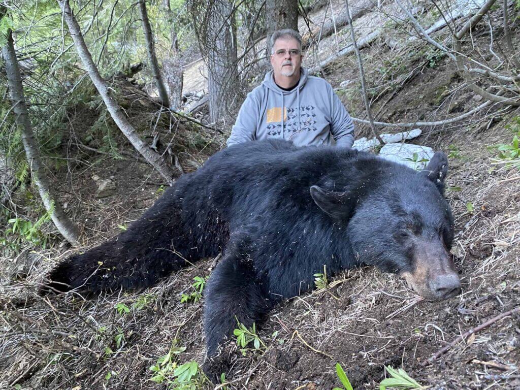 2023 Bear