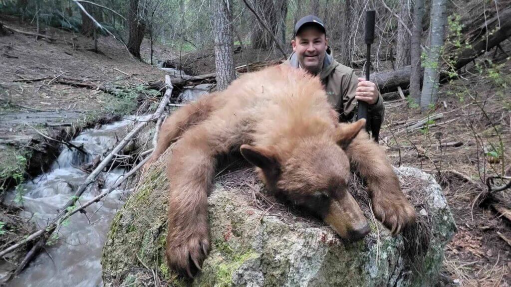 2023 Bear