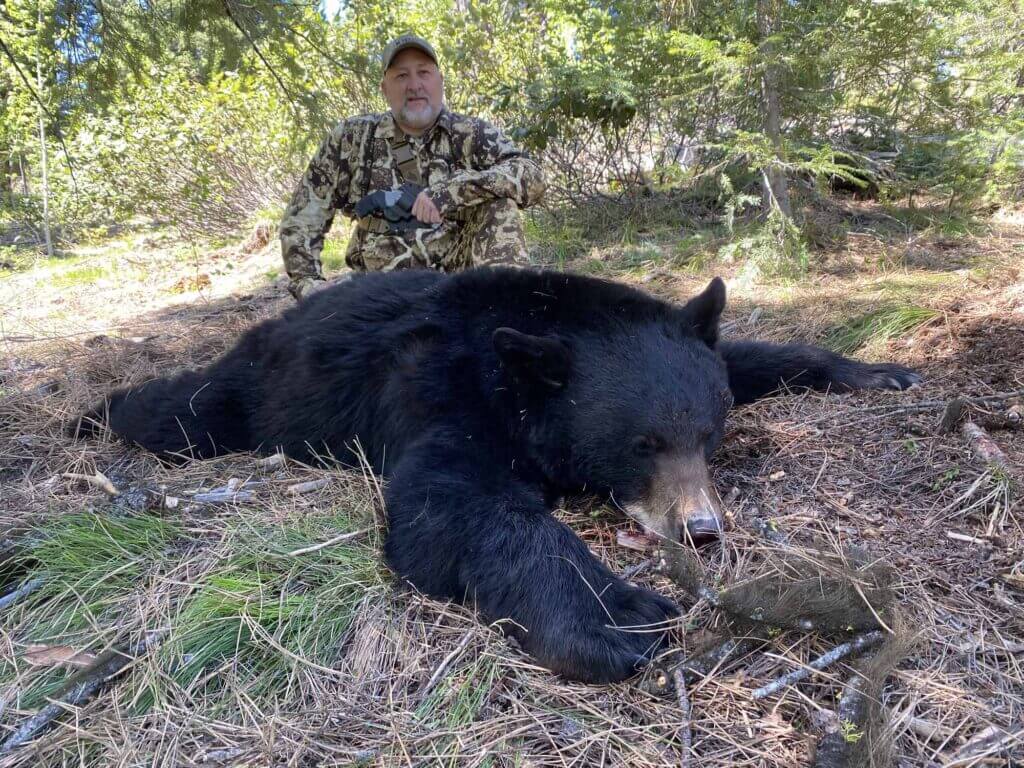 2023 Bear