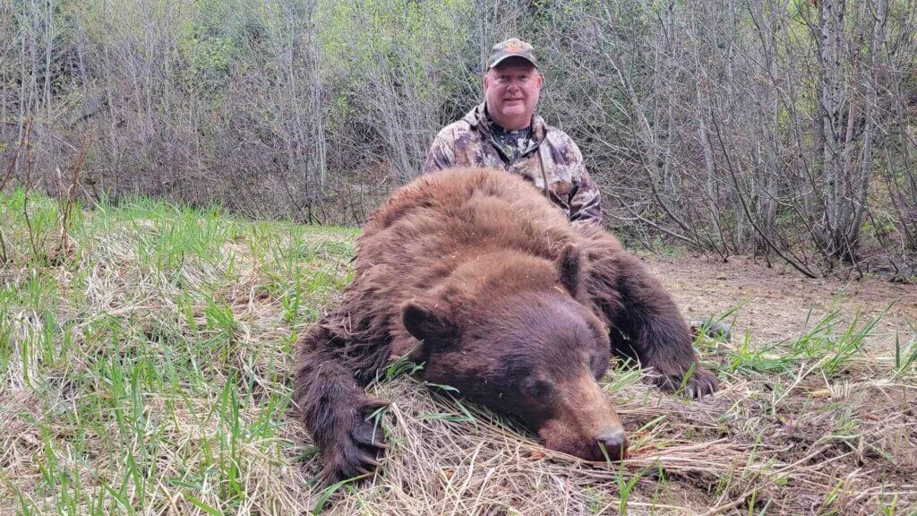 2023 Bear