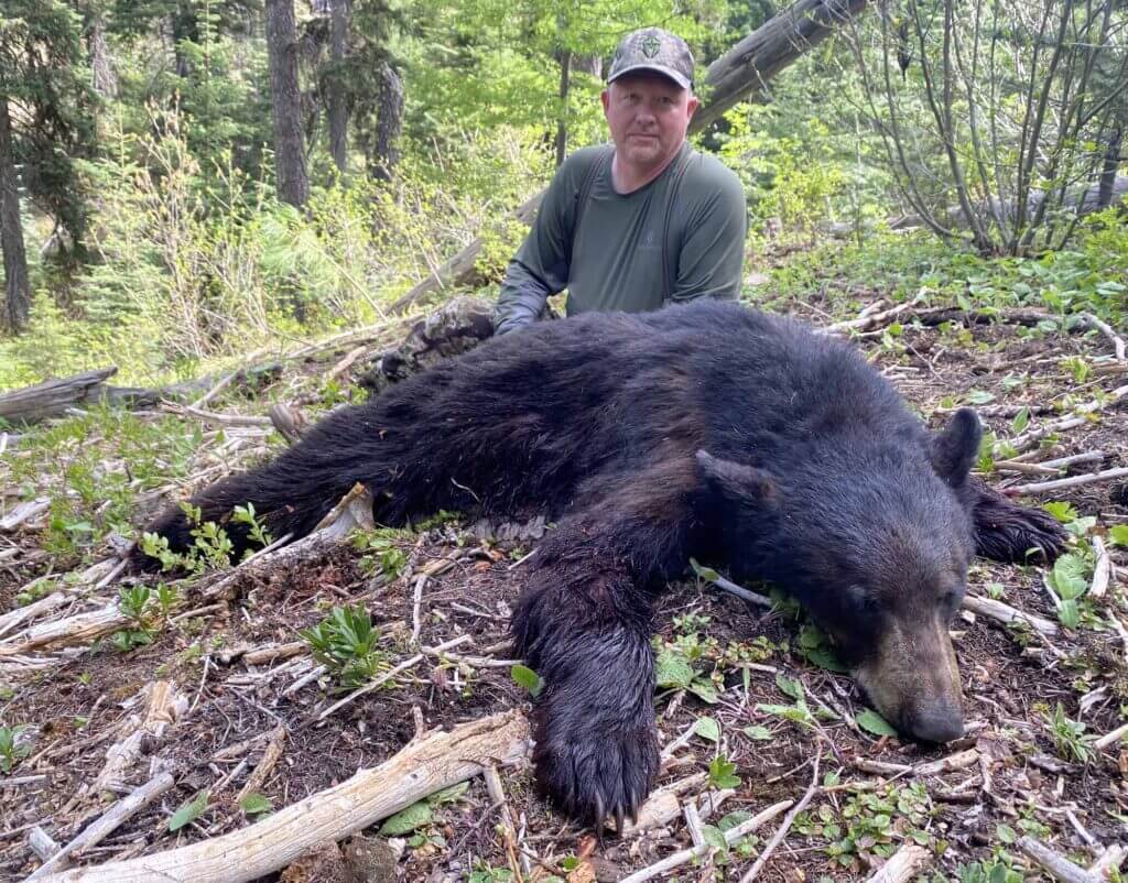 2023 Bear