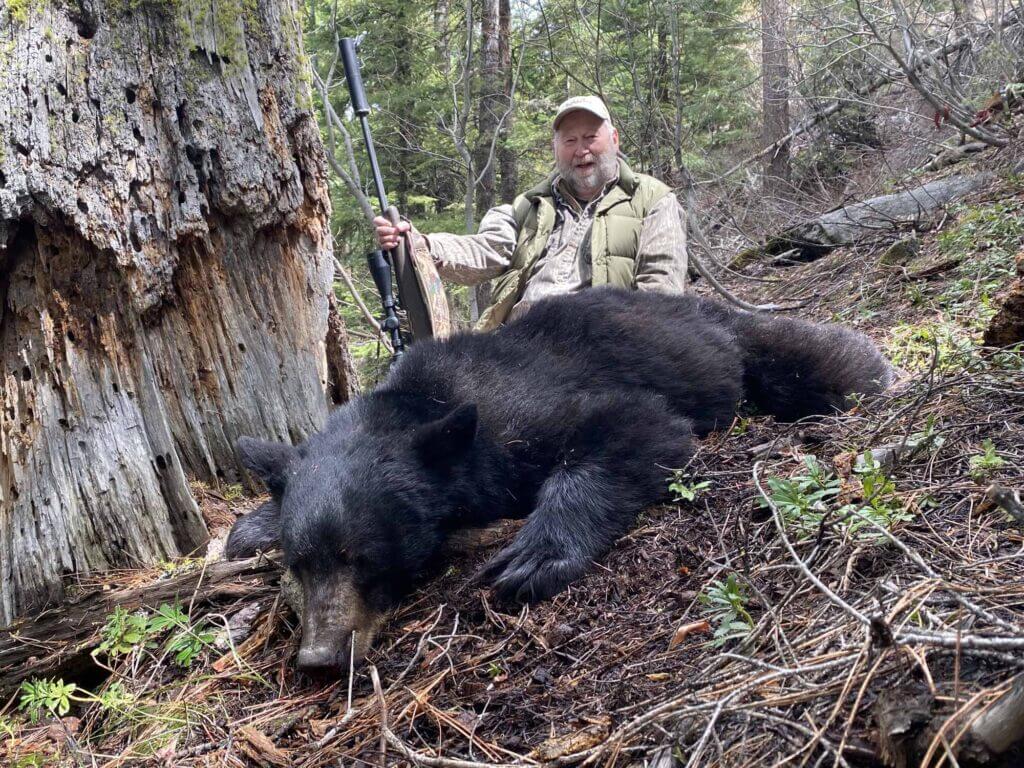 2023 Bear