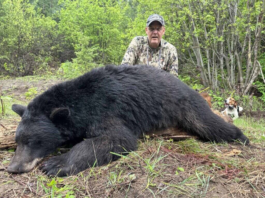 2023 Bear