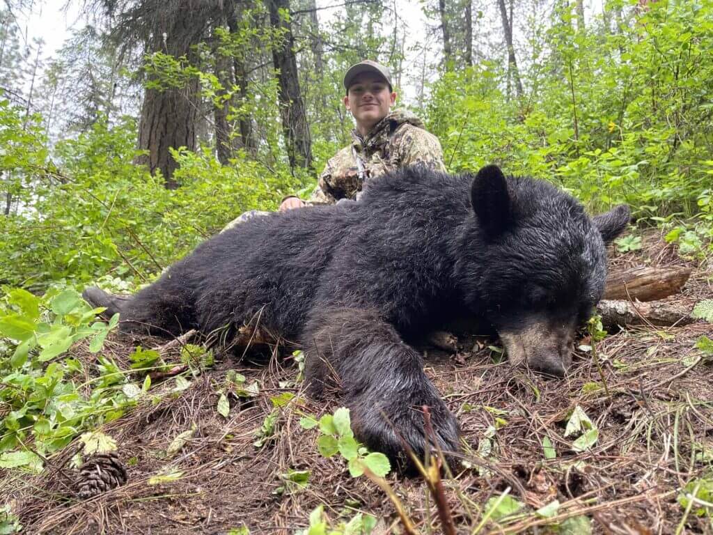 2023 Bear