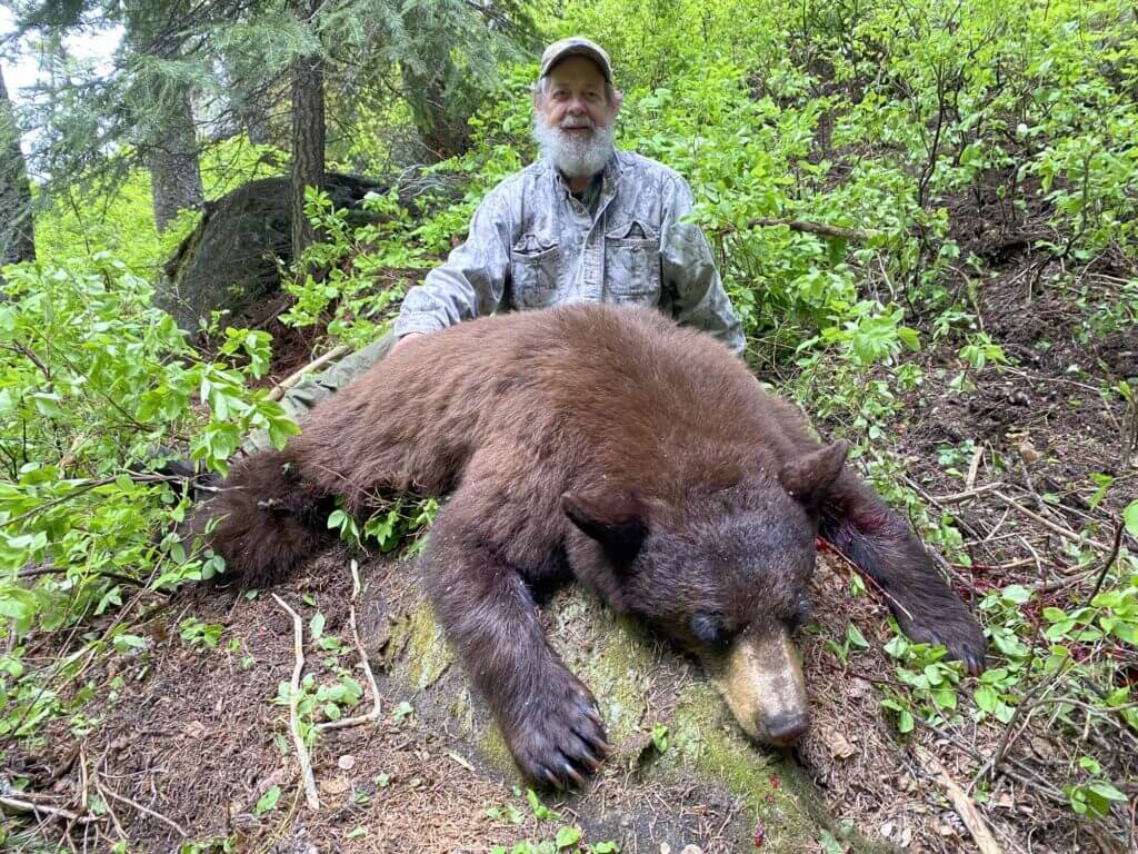2023 Bear