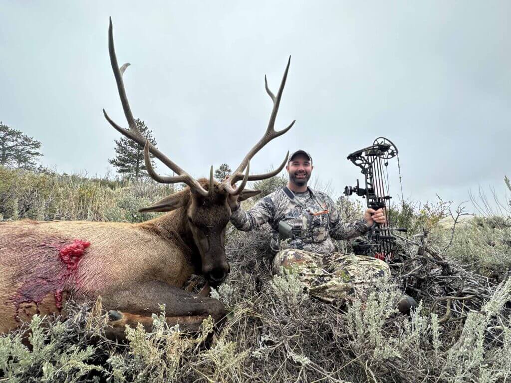 2023 Elk