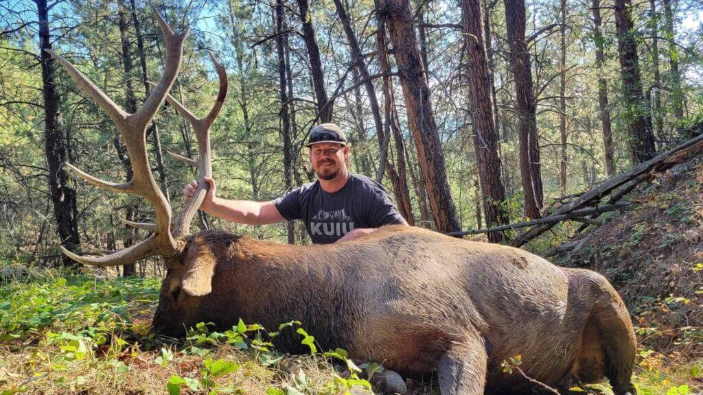 2023 Elk