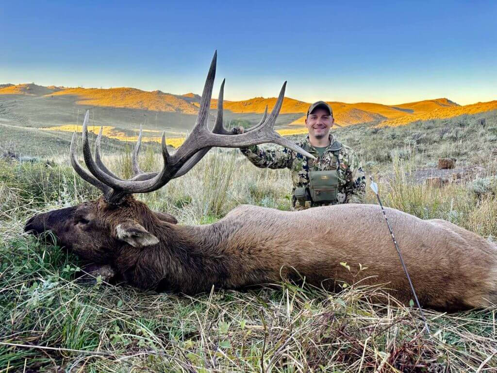 2023 Elk