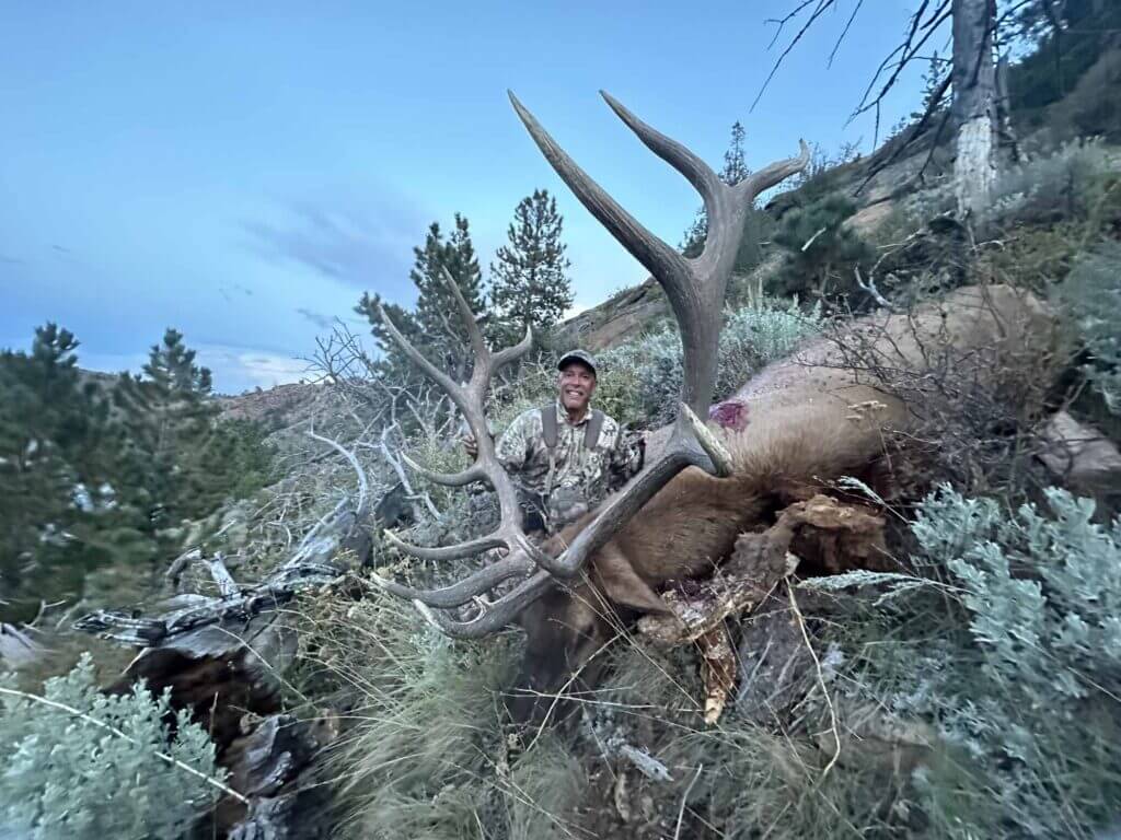 2023 Elk