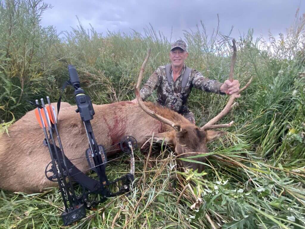 2023 Elk