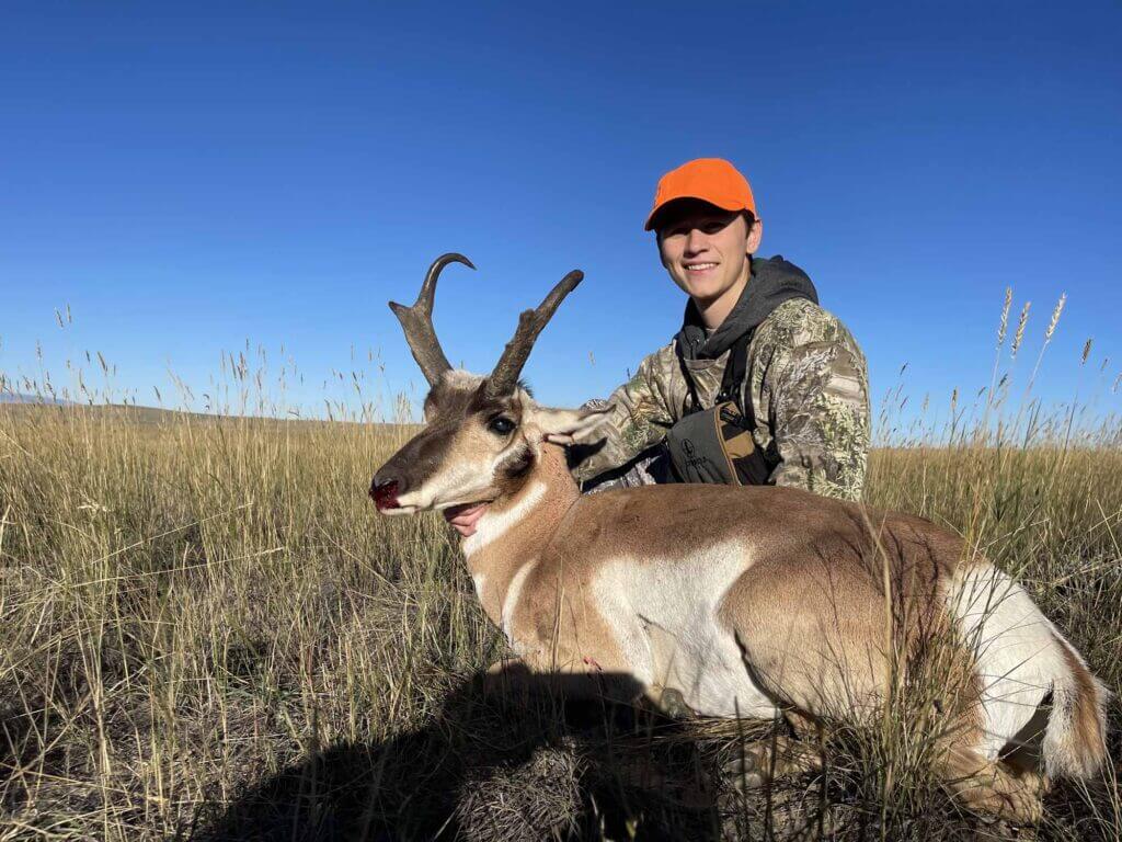 2023 Antelope