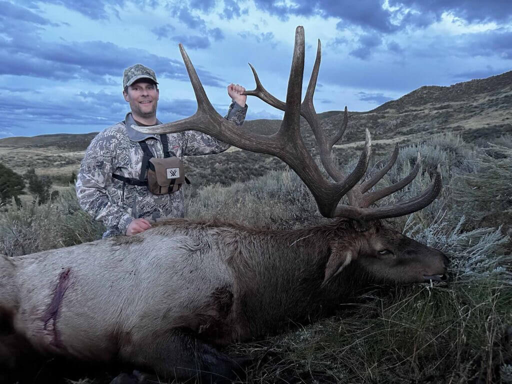 2023 Elk