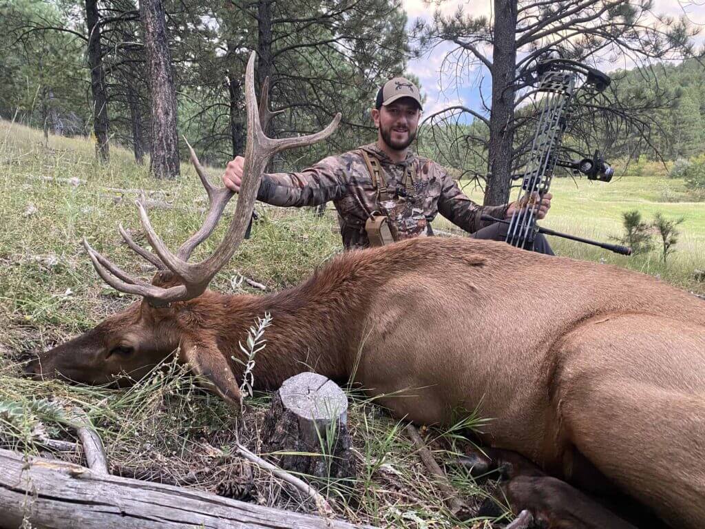 2023 Elk