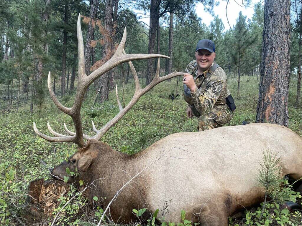 2023 Elk