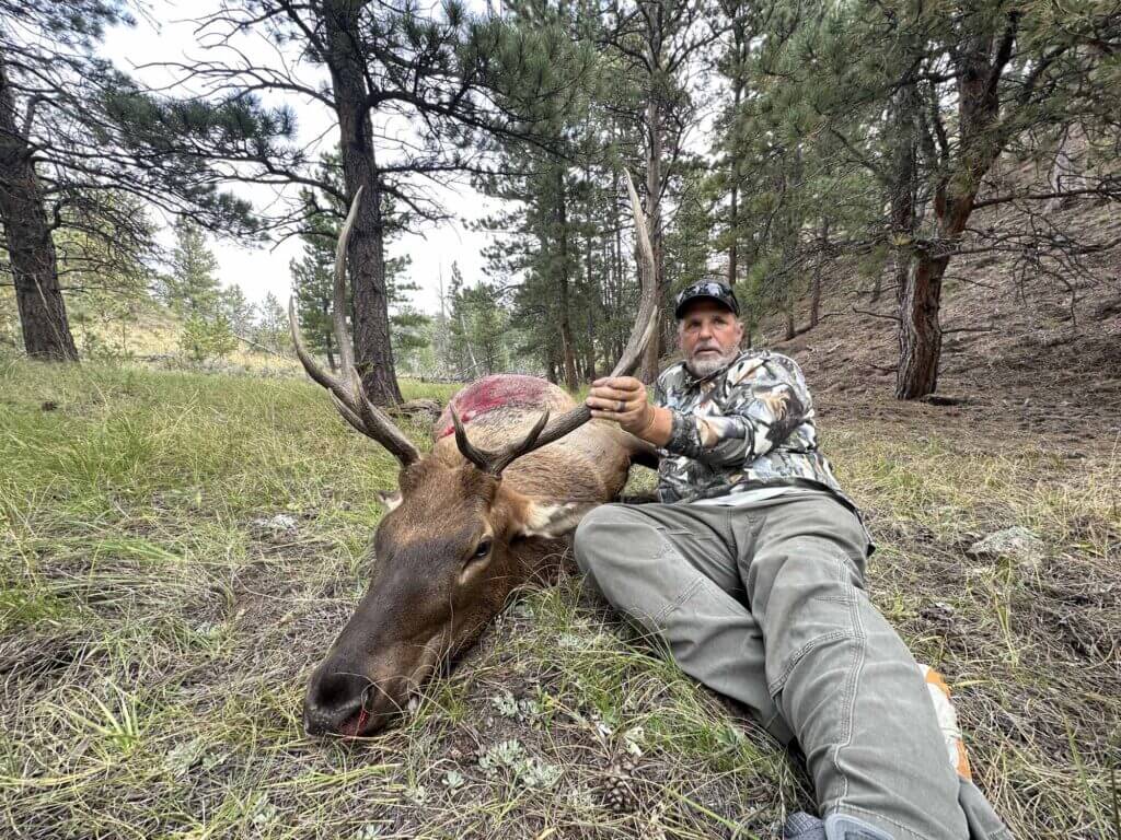 2023 Elk