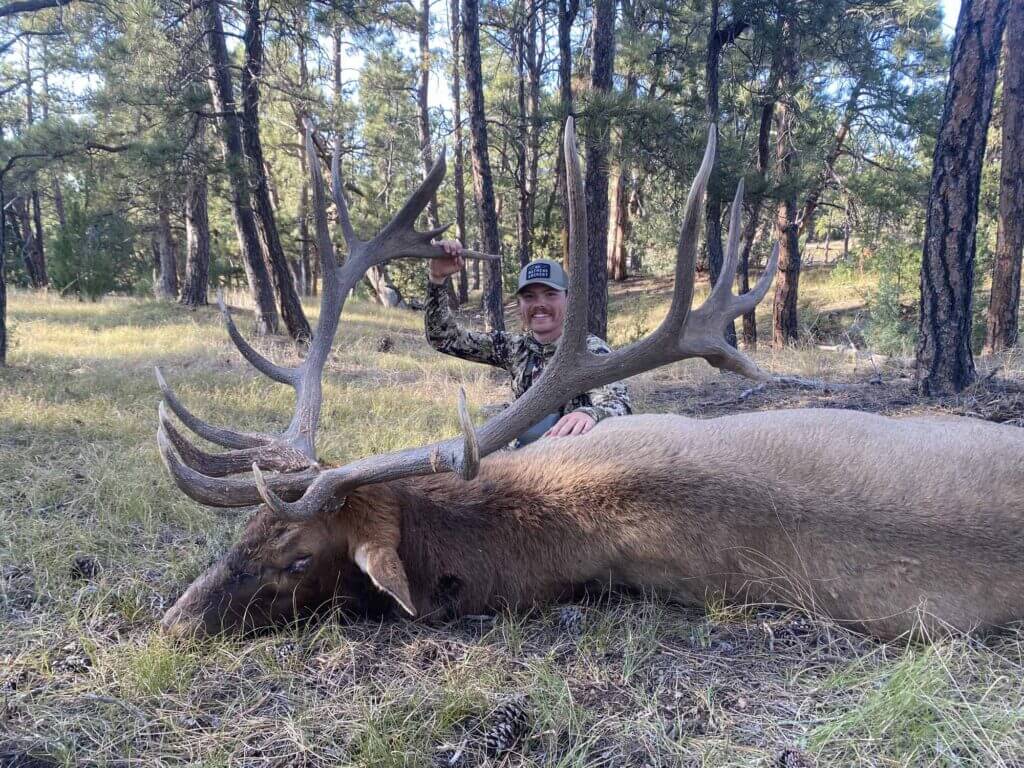 2023 Elk